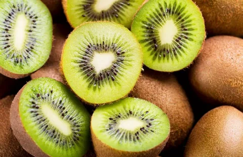 قیمت و خرید کیوی گوشتی + فروش ارزان